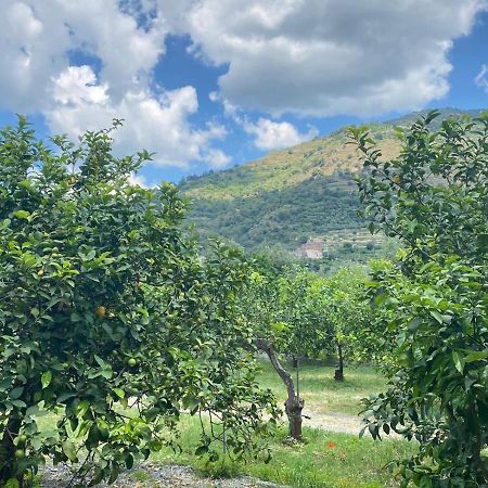 Casa Marietta Villa Forza d'Agro Bagian luar foto