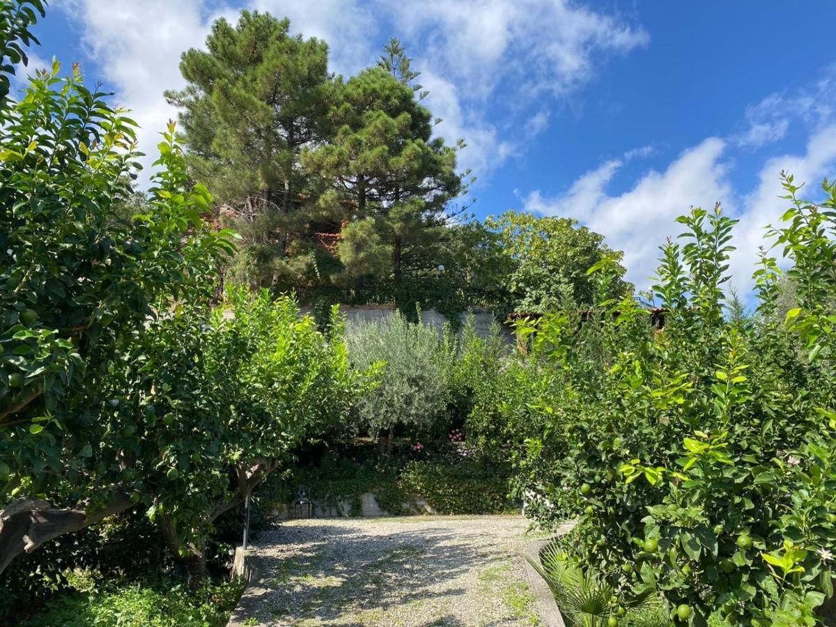 Casa Marietta Villa Forza d'Agro Bagian luar foto