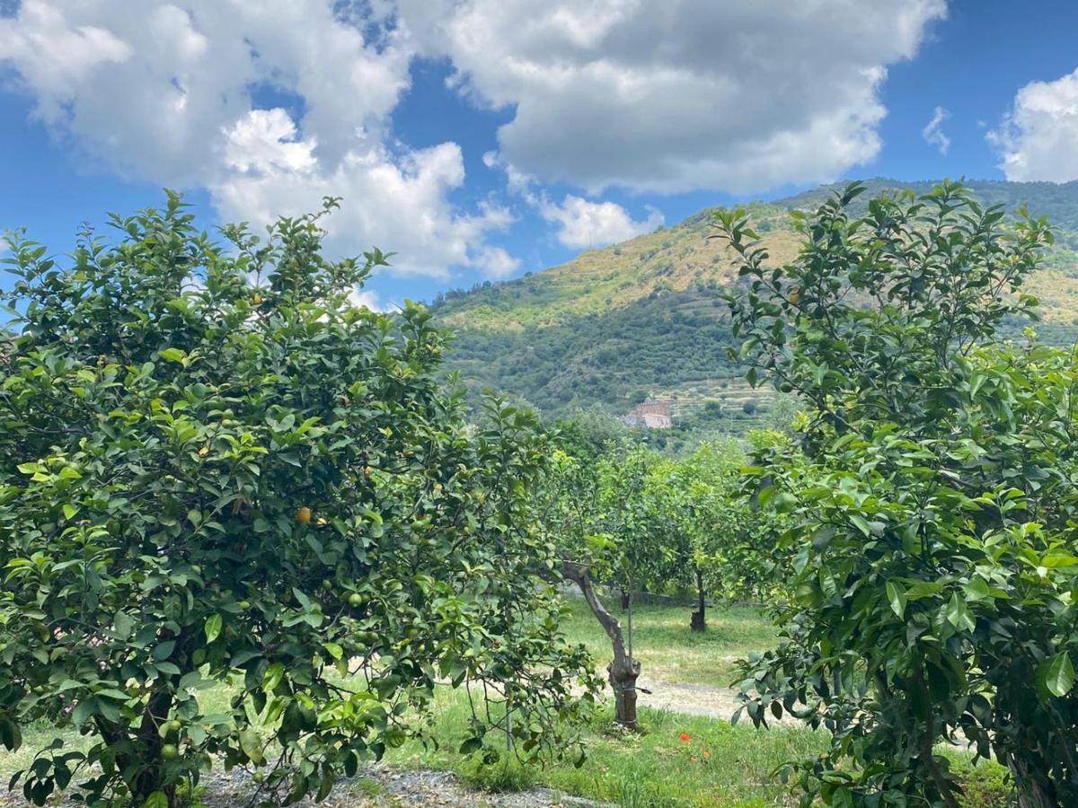 Casa Marietta Villa Forza d'Agro Bagian luar foto